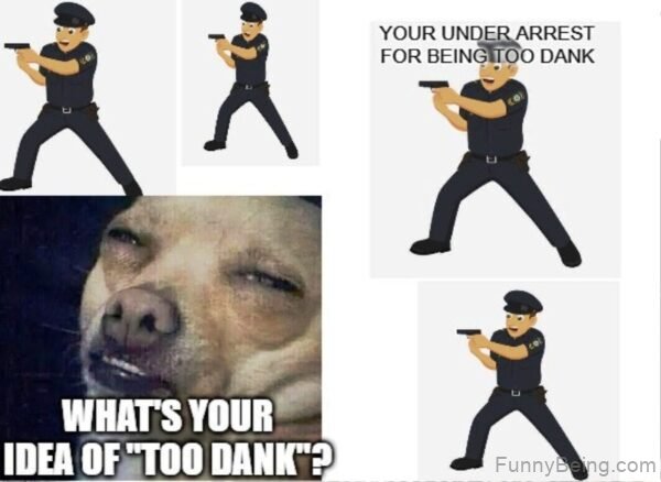 Your Under Arrest For Being Too Dank